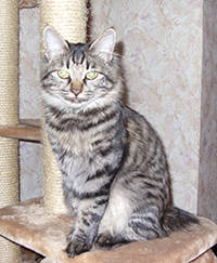 Алина